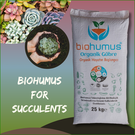 For Cactus and Skulent
Biohumus Organic Fertilizer 25 Kg