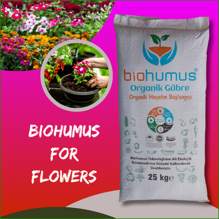 for flowers
Biohumus Organic Fertilizer 25 Kg