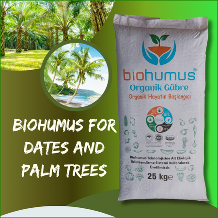 For Dates and Palms
Biohumus Organic Fertilizer 25 Kg