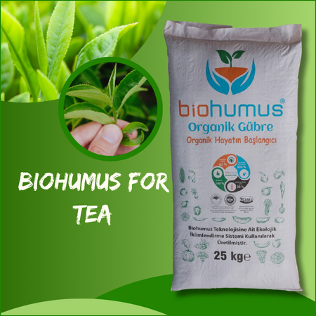 for tea
Biohumus Organic Fertilizer 25 Kg