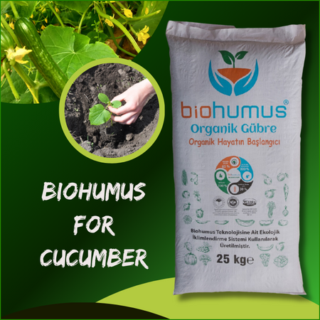 for cucumber
Biohumus Organic Fertilizer 25 Kg