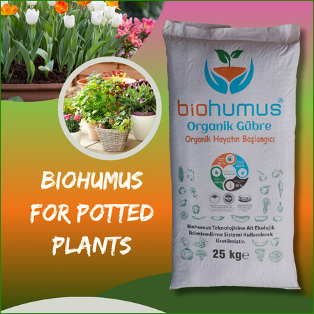 For Potted Plants
Biohumus Organic Fertilizer 25 Kg