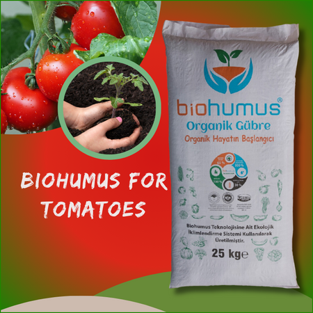 for tomatoes
Biohumus Organic Fertilizer 25 Kg