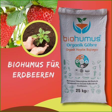 für Erdbeeren Biohumus Organischer Dünger 25 Kg