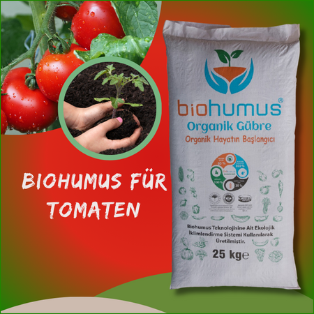 für Tomaten Biohumus Organischer Dünger 25 Kg