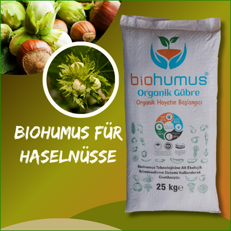 für Haselnüsse Biohumus Organischer Dünger 25 Kg